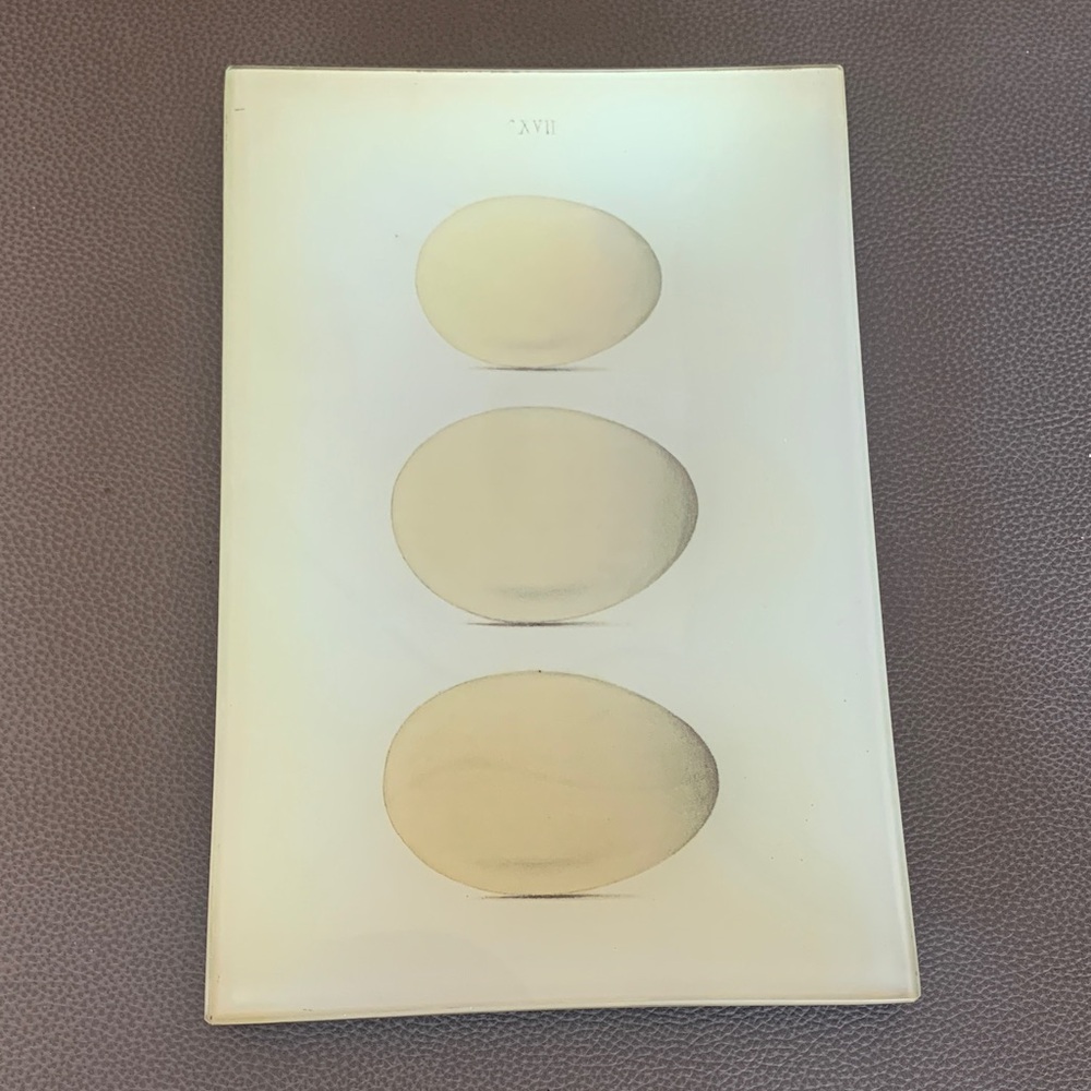 John Derain decoupage 6x9 tray egg motif